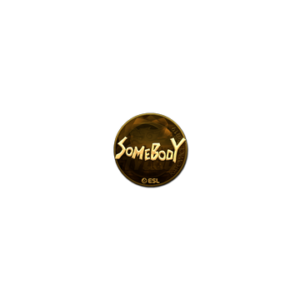 Sticker | somebody (Gold) | Katowice 2019